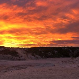 Meet your Posher, Annette